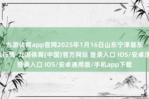 九游体育app官网2025年1月16日山东宁津县东崔蔬菜批发商场价钱行情-九游体育(中国)官方网站 登录入口 IOS/安卓通用版/手机app下载