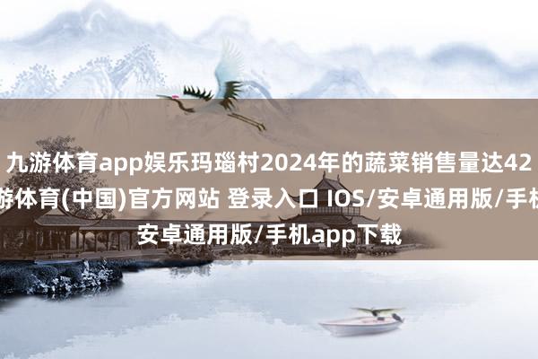 九游体育app娱乐玛瑙村2024年的蔬菜销售量达429万斤-九游体育(中国)官方网站 登录入口 IOS/安卓通用版/手机app下载