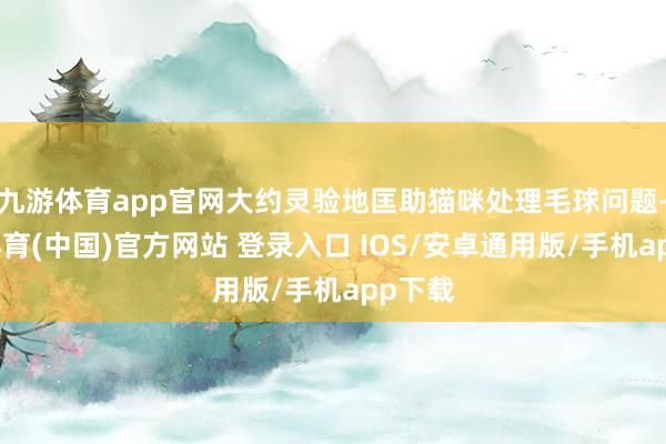 九游体育app官网大约灵验地匡助猫咪处理毛球问题-九游体育(中国)官方网站 登录入口 IOS/安卓通用版/手机app下载