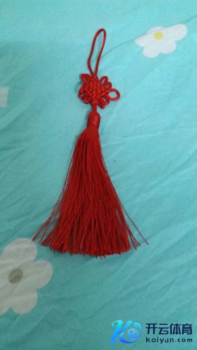 河南六旬大姨8年穷游12国 骑行和谐抑郁症