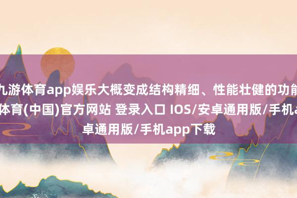 九游体育app娱乐大概变成结构精细、性能壮健的功能层-九游体育(中国)官方网站 登录入口 IOS/安卓通用版/手机app下载